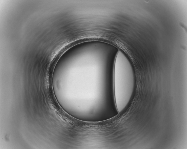 X0000103310676200808291153
