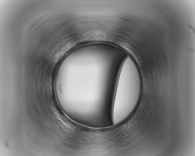 X0000103310677200808291153