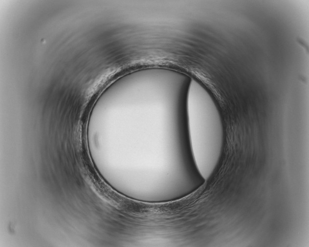 X0000103310678200808291153