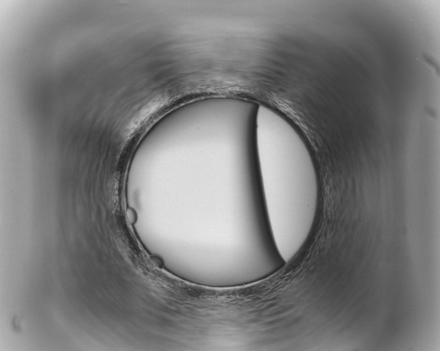 X0000103310679200808291153