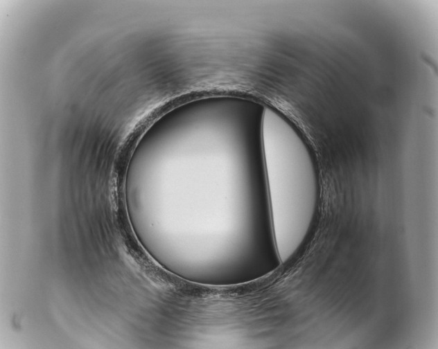 X0000103310680200808291153