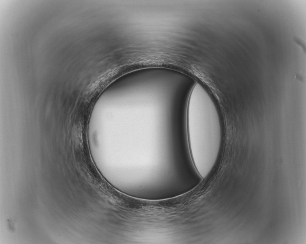 X0000103310681200808291153