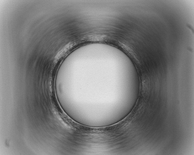 X0000103310682200808291153