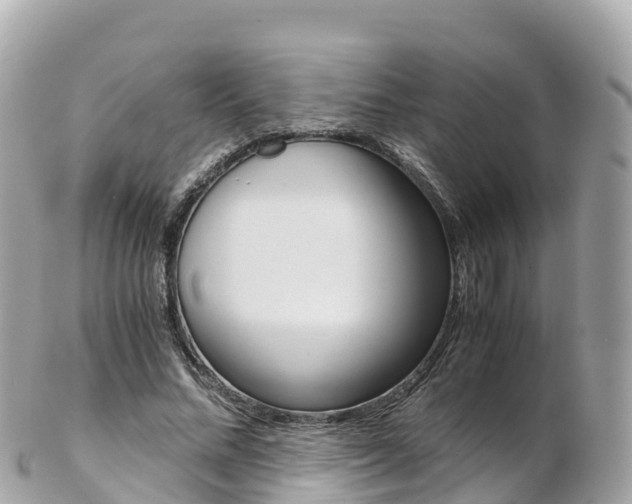X0000103310684200808291153