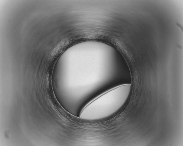 X0000103310685200808291153