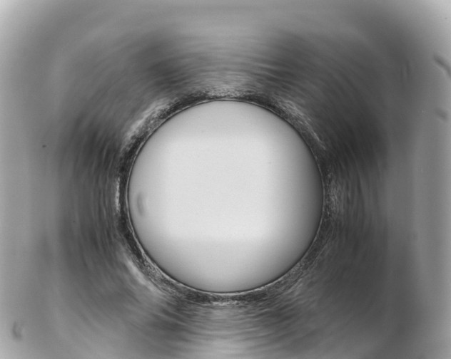 X0000103310686200808291153