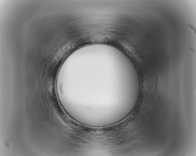 X0000103310687200808291153