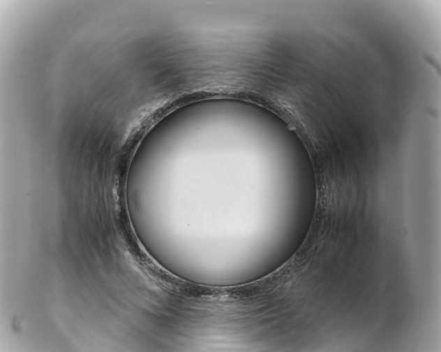 X0000103310688200808291153