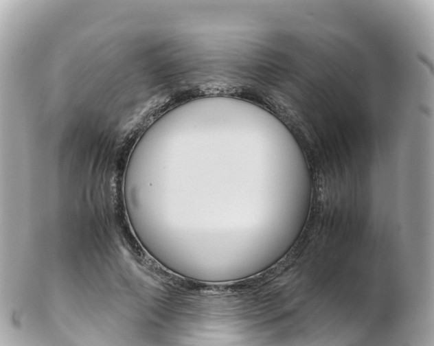X0000103310690200808291153