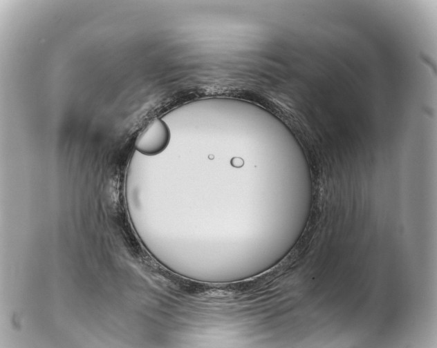 X0000103310691200808291153
