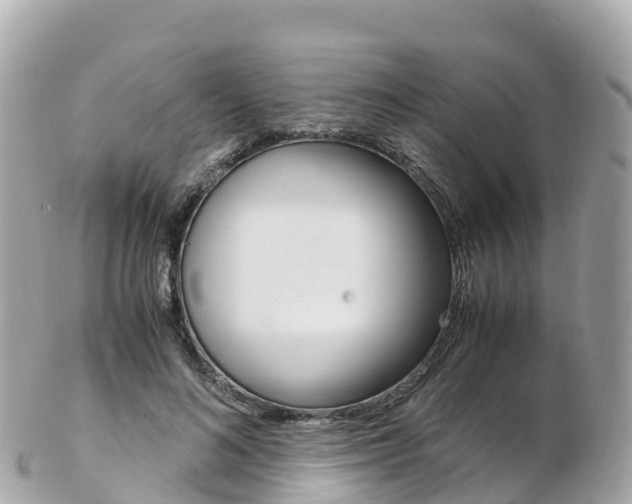 X0000103310692200808291153