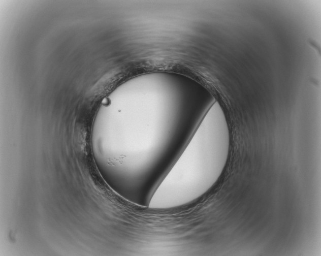 X0000103310693200808291153