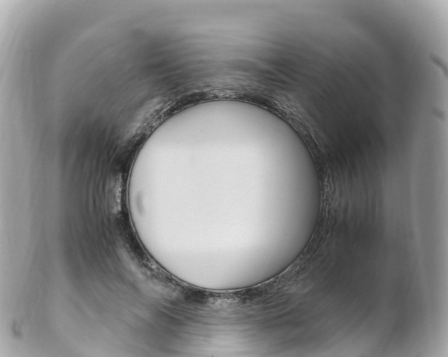 X0000103310694200808291153