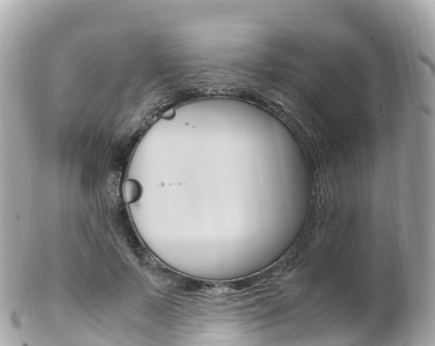 X0000103310695200808291153