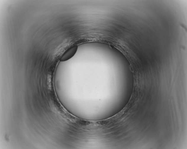 X0000103310696200808291153