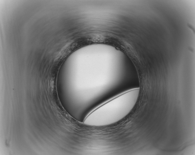 X0000103310697200808291153