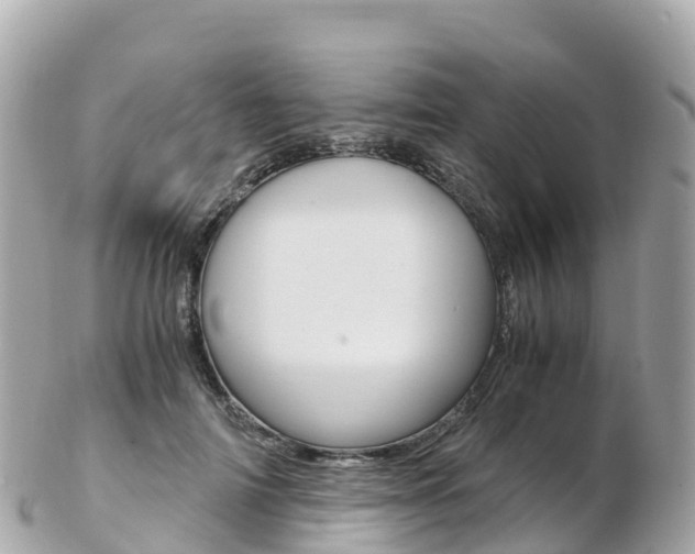 X0000103310698200808291153