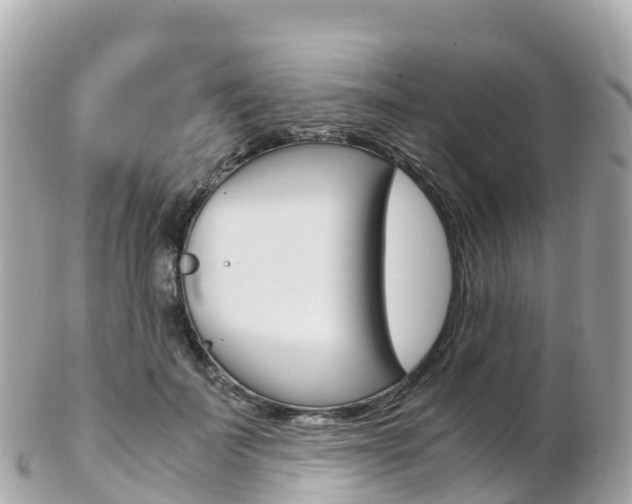 X0000103310699200808291153