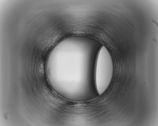 X0000103310700200808291152