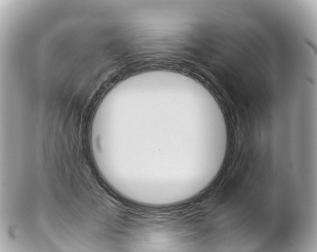 X0000103310701200808291152