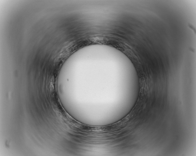 X0000103310702200808291152