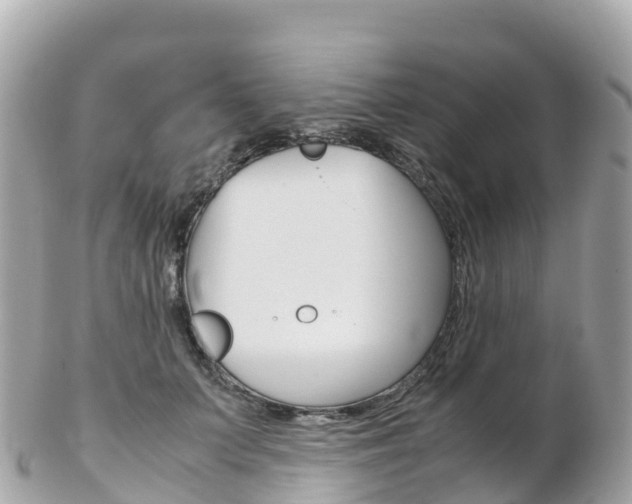 X0000103310703200808291152