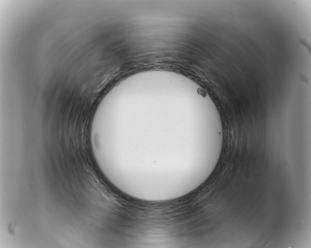X0000103310704200808291152