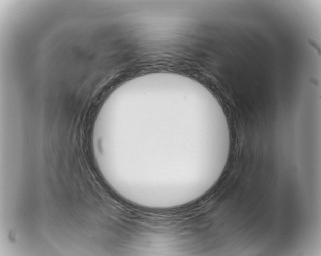 X0000103310705200808291152