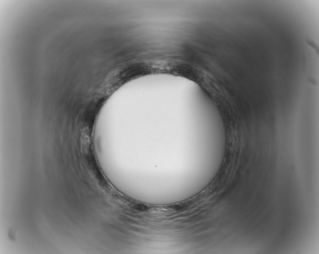 X0000103310707200808291152
