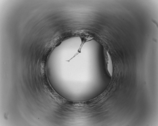 X0000103310708200808291152