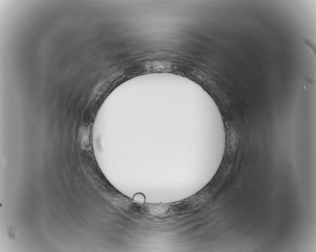 X0000103310709200808291152