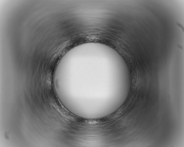 X0000103310710200808291152