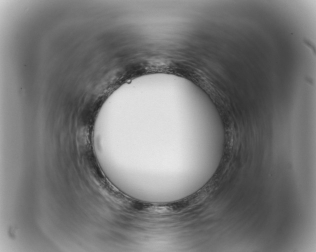 X0000103310711200808291152