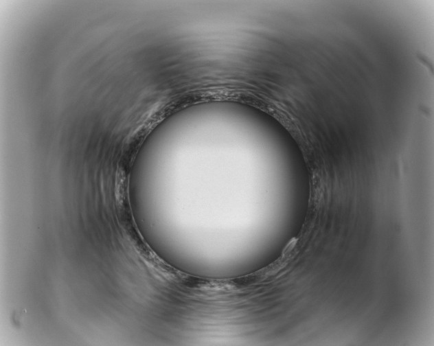 X0000103310712200808291152
