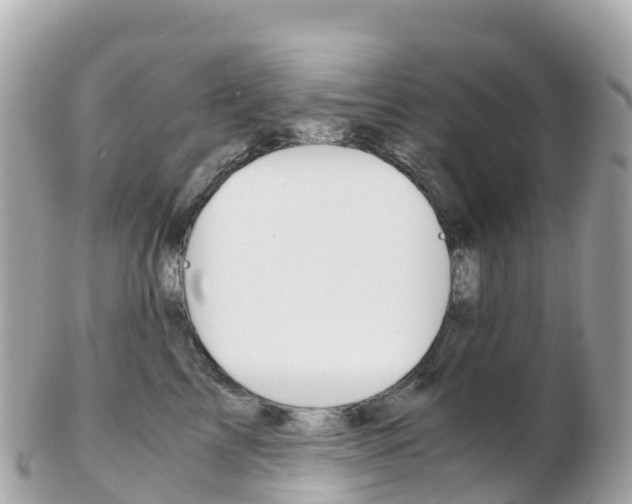 X0000103310713200808291152