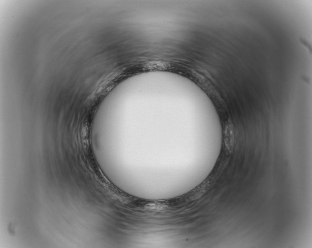 X0000103310714200808291152