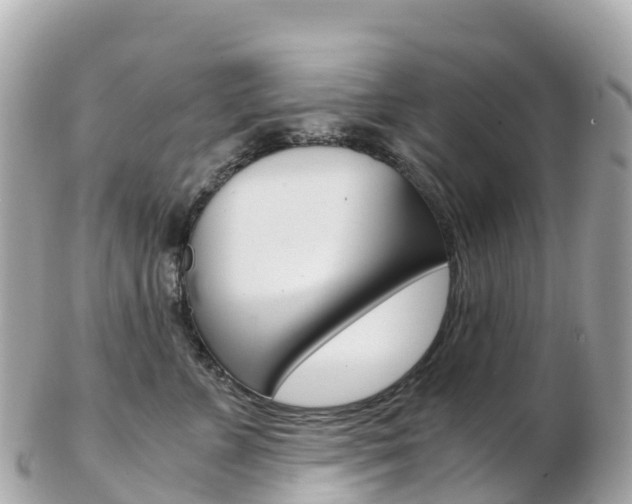 X0000103310715200808291152