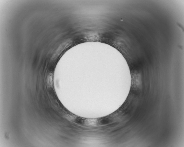 X0000103310717200808291152