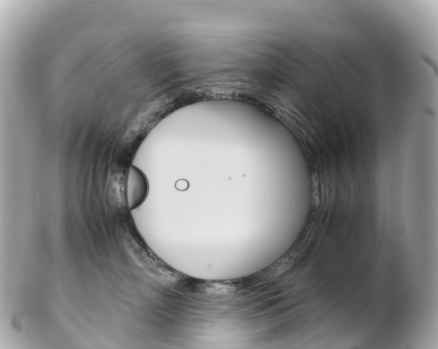 X0000103310718200808291152