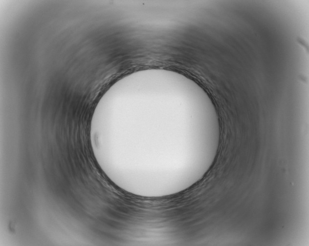 X0000103310720200808291152