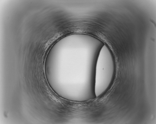 X0000103310721200808291151