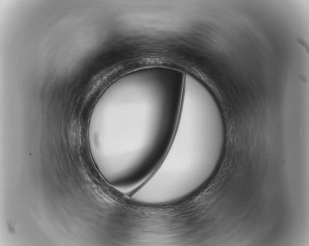 X0000103310722200808291151