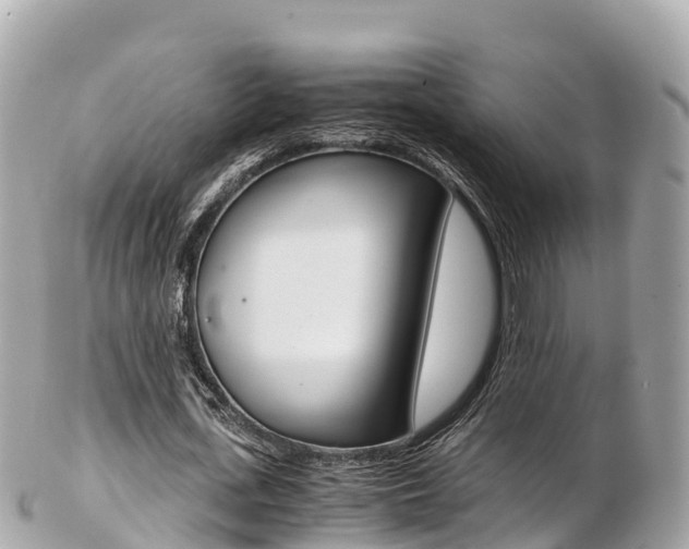 X0000103310723200808291151