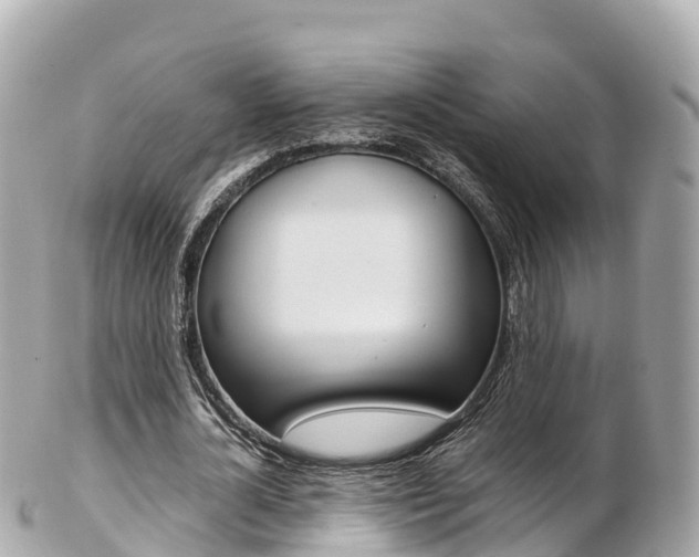 X0000103310724200808291151