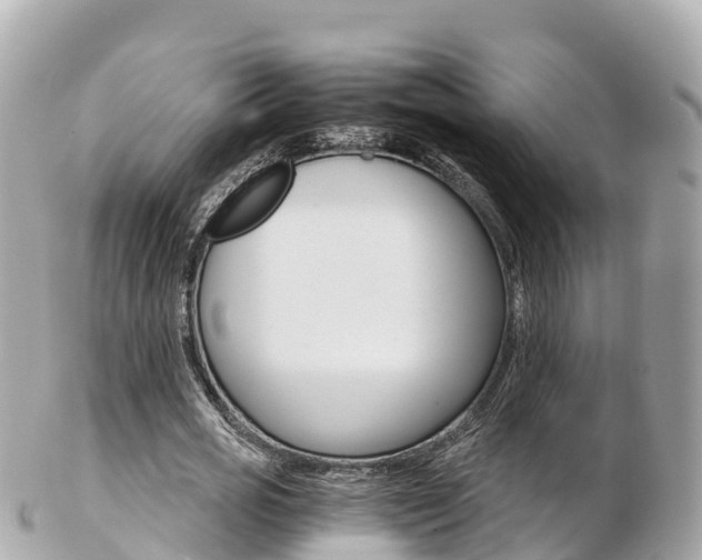X0000103310725200808291151