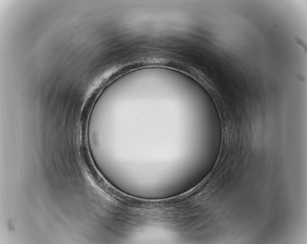 X0000103310726200808291151
