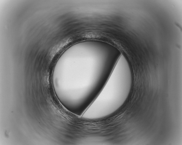 X0000103310727200808291151