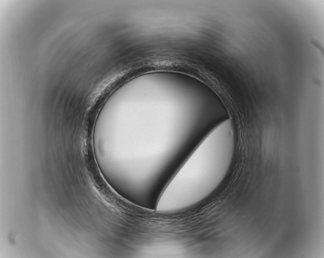 X0000103310728200808291152