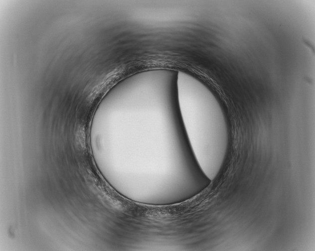 X0000103310729200808291152