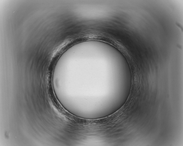 X0000103310730200808291152